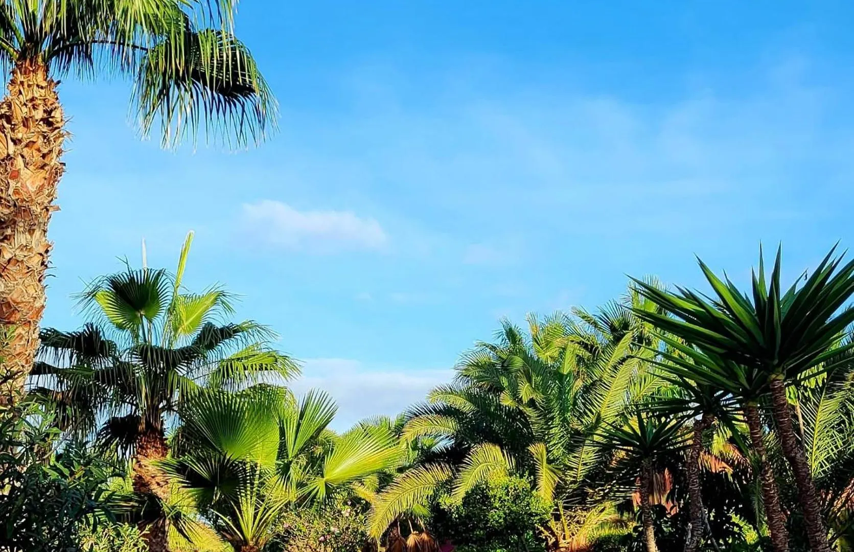 Casa Catherine Oasis Tamarindo contacts